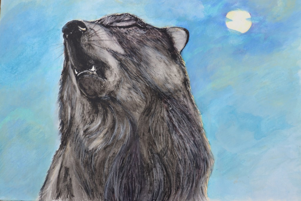 Oggi sono andata a caccia di&nbsp;lupi