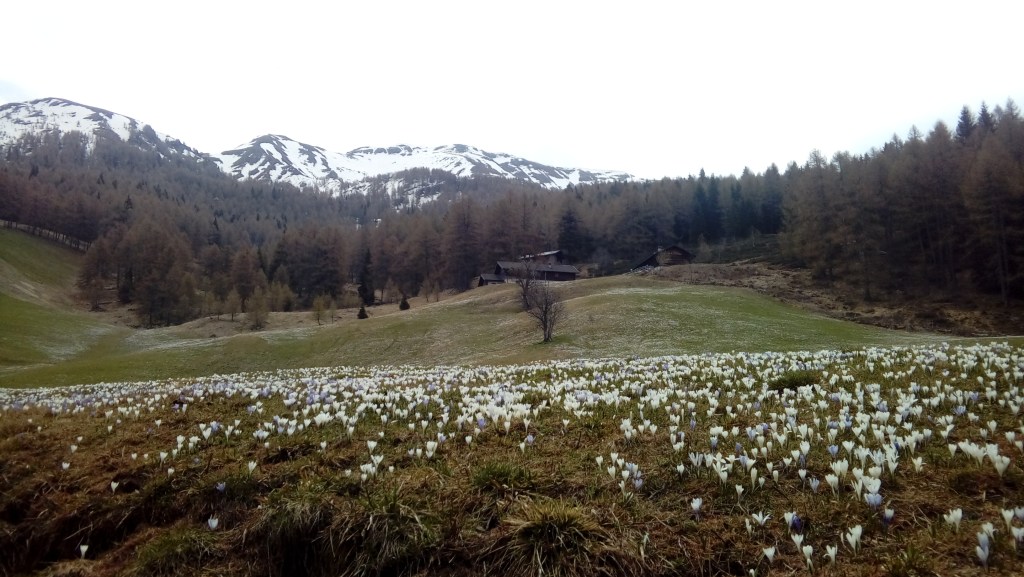 Mio nonno cucinava la pinza più buona del&nbsp;mondo.