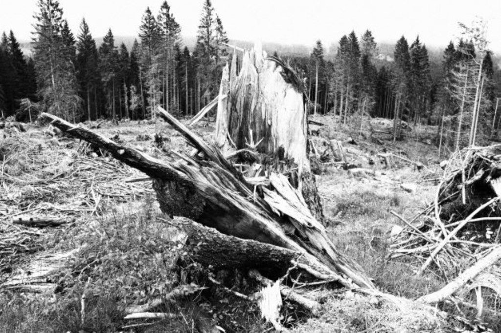 I poeti e la&nbsp;televisione