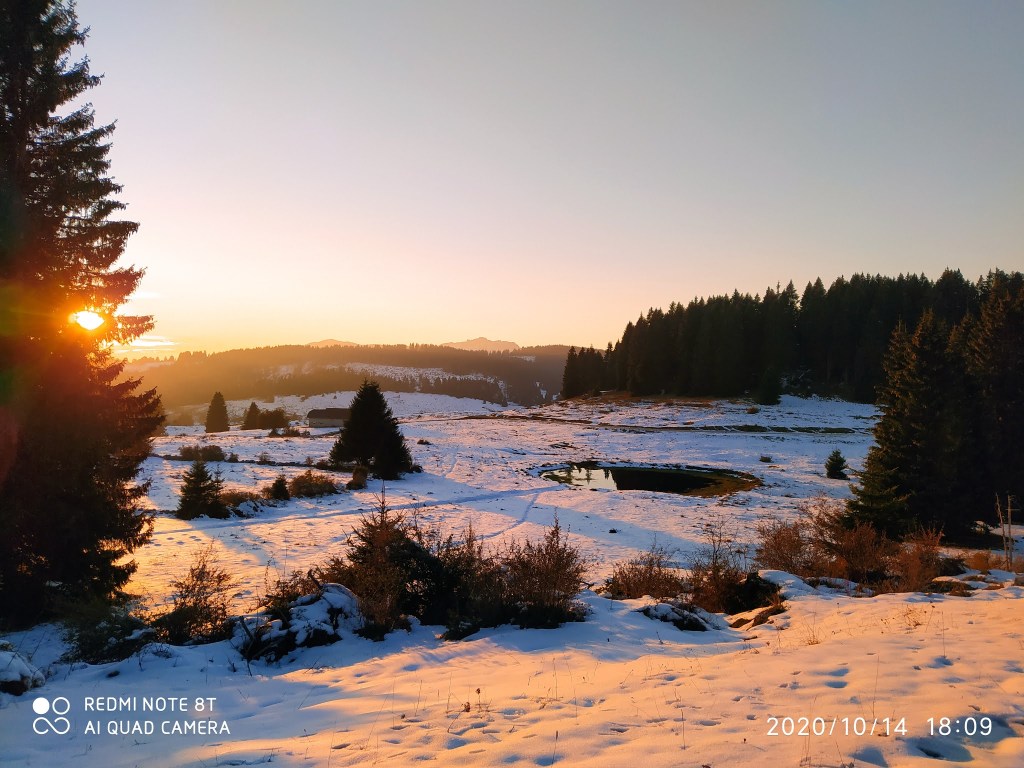 Storia di una dipendenza finita bene, ovvero, a che cosa serve leggere libri.