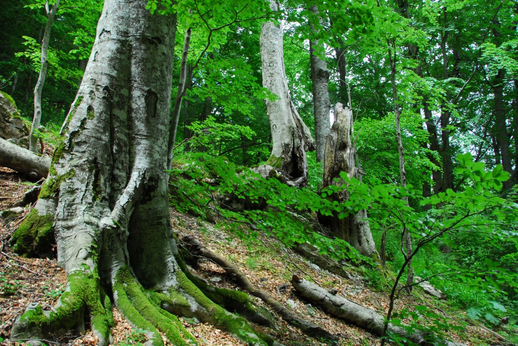 Il tempo è&nbsp;Oro!