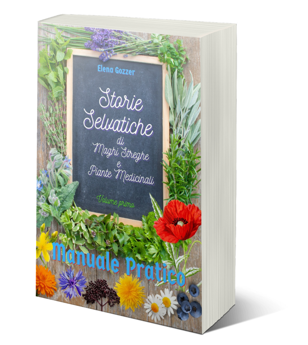 E’ online il mio primo&nbsp;libro