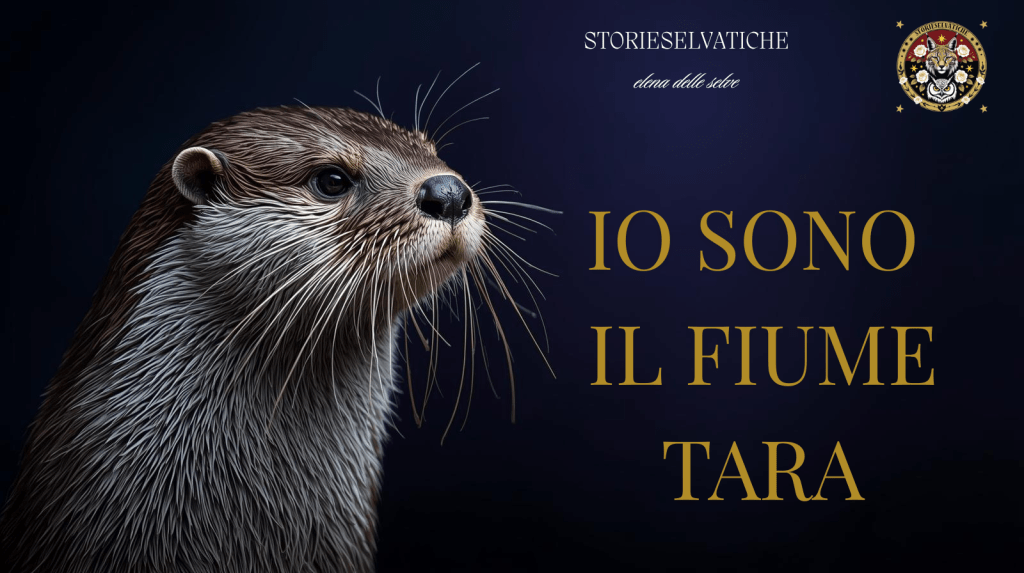 IO SONO il Fiume&nbsp;Tara